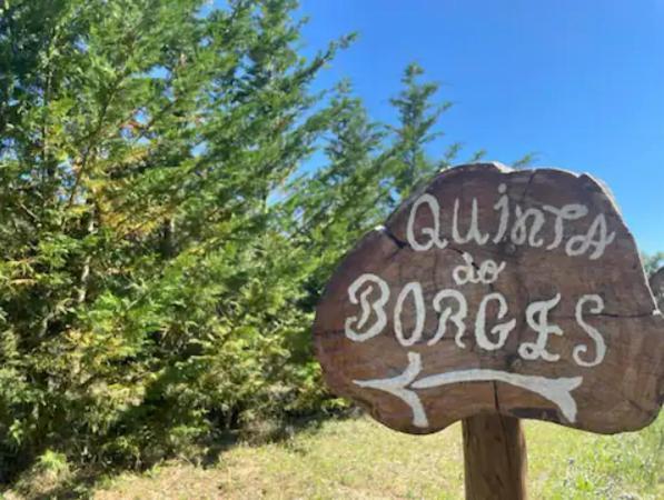 Апартаменти Quinta Do Borges 2 Гуарда Екстер'єр фото