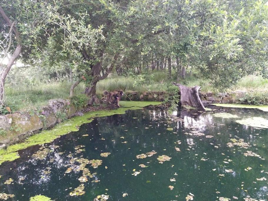 Апартаменти Quinta Do Borges 2 Гуарда Екстер'єр фото